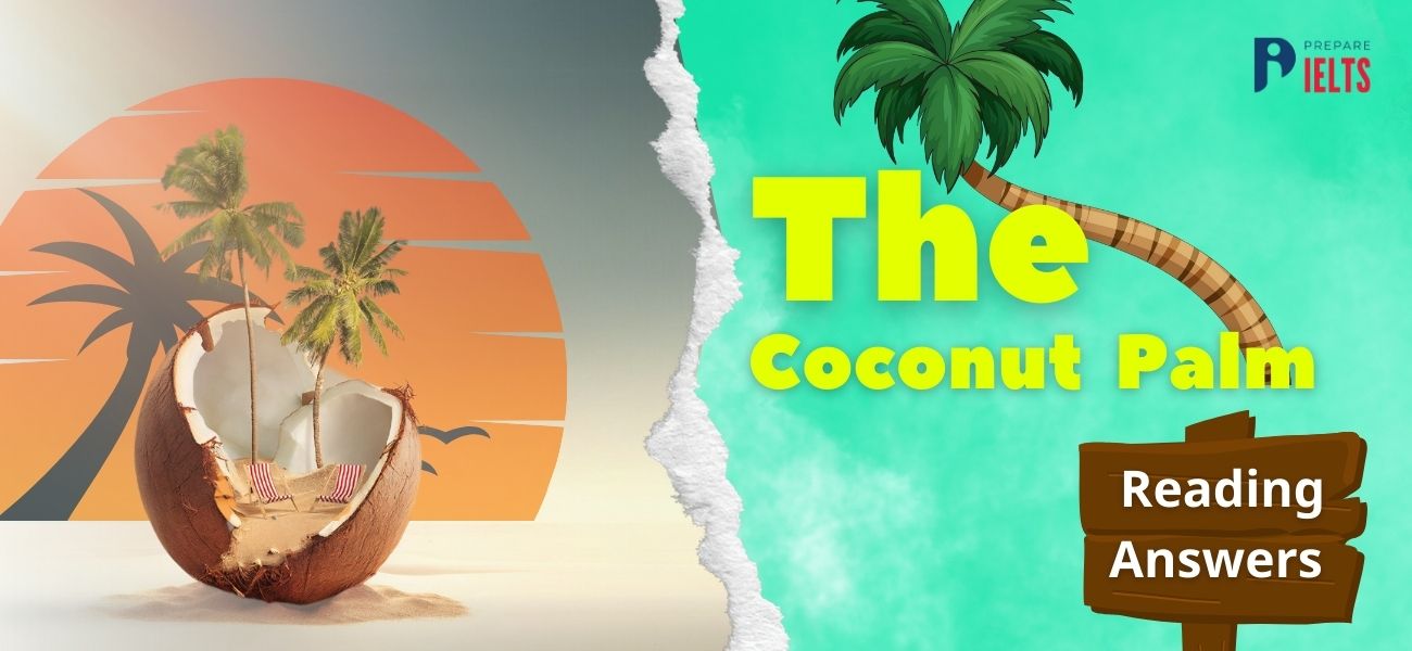 The Coconut Palm